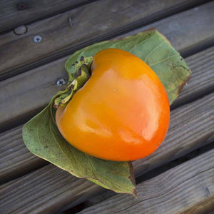 Organic Hachiya Persimmons