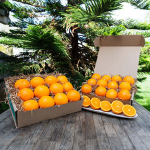 Organic Mango Oranges