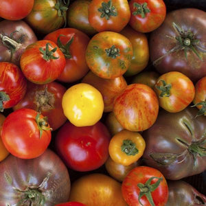 Organic Heirloom Tomatoes | Organic Fruit Delivery