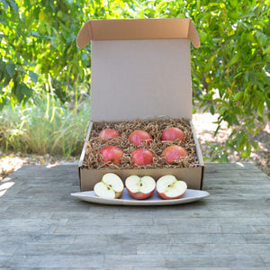 Organic Apples – Frog Hollow Farm