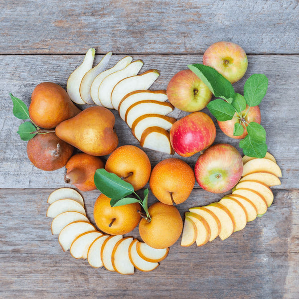 Mixed Fruit - Organic Fruit Box - Frog Hollow Farm