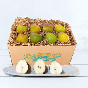 A square image of vibrant organic pears, carefully arranged in a rustic craft gift basket with Frog Hollow's flying frog logo.
