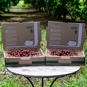 Organic Brooks Cherries
