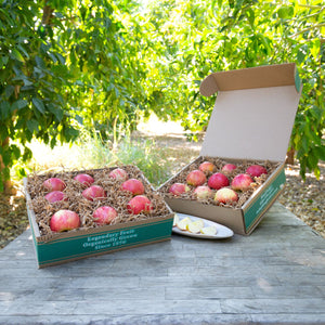 Bulk Organic & Biodynamic Honeycrisp Apples, 3 lb, Mt. Hood Organic Farms