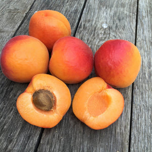 Organic Robada Apricots