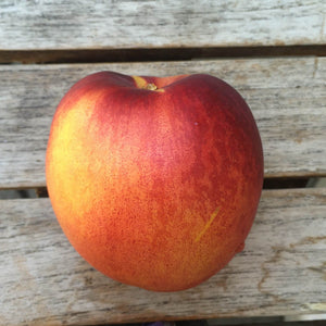 Organic Fantasia Nectarines | Organic Fruit Delivery