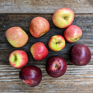 Organic Nagafu Fuji Apples