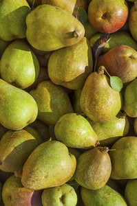Organic Pears – Frog Hollow Farm