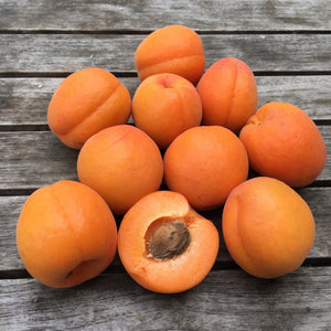 Organic Kettleman Apricots, Fruit Delivery