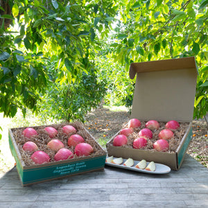 Ship a Bushel of Organic Apples