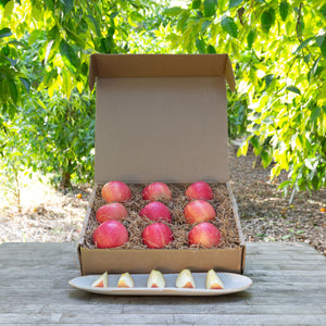 https://www.froghollow.com/cdn/shop/products/PinkLadyApples5lbs-2000px_300x300.jpg?v=1644432772