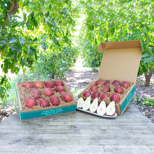 Organic Red D'Anjou Pears