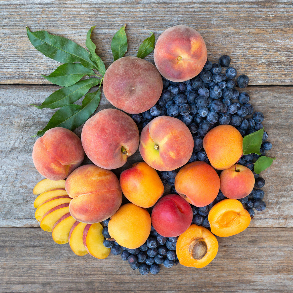 Monthly Cornucopia of California - Organic Fruit Club – Frog Hollow Farm