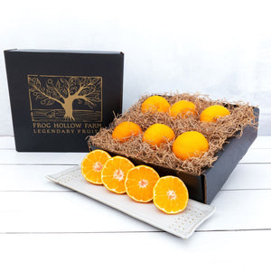 A square image featuring an elegant gift box with a gold embossed tree full of juicy tangerines, highlighting their vibrant orange skin.
