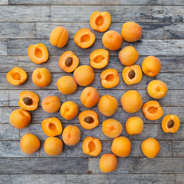 apache-apricots-flat-