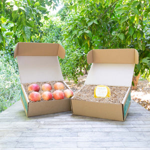 Apples & Cheese Box