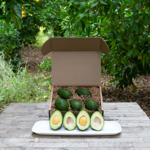An image of a rustic, craft gift basket with dark green, buttery avocados on a wooden table, set against a background of vibrant greenery.