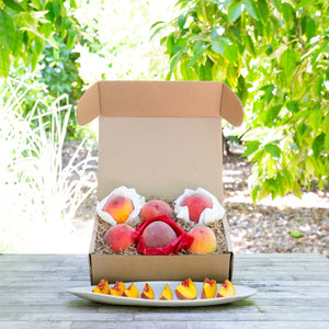 Organic Santa Rosa Plums  Pre-Order – Frog Hollow Farm