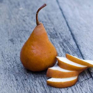 Bosc Pears - Organic Bosc Pears - Washington Pear Growers