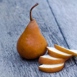 Bosc Pears | Organic Pears