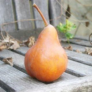 Flavors of Fall | Organic Fruit Delivery