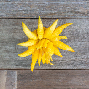 Organic Buddha's Hand Citron
