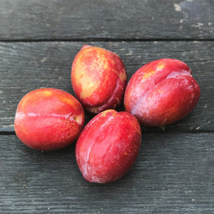 Organic Crimson Royale Pluots [NEW]