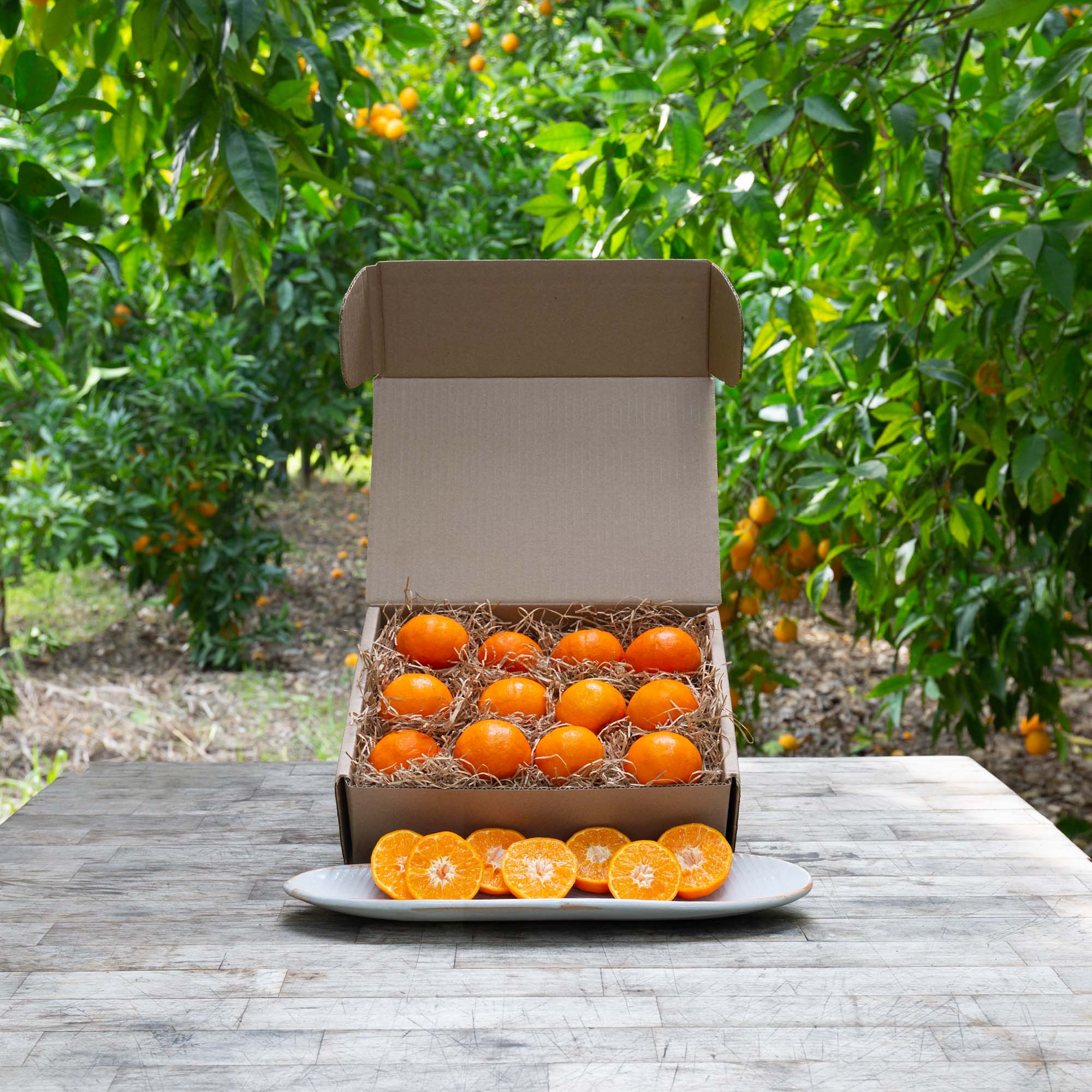 Daisy Tangerines - Frog Hollow Farm