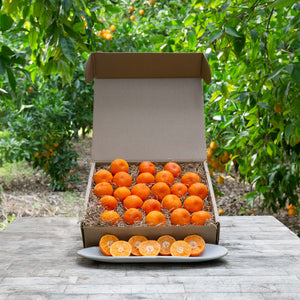 Organic Royal Mandarins