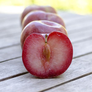 Organic Dapple Dandy Pluots | Organic Fruit Delivery