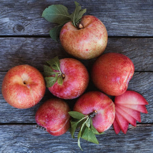 Organic Dapple Dandy Pluots | Organic Fruit Delivery