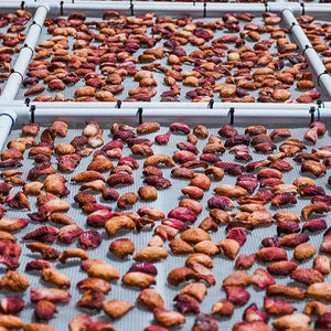Dried Nectarines | Organic Fruit Delivery