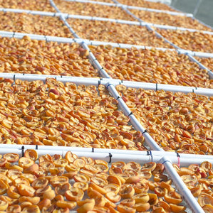 Organic Sun-Dried Peaches | Sulfur-Free