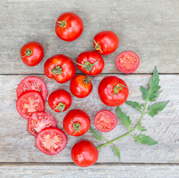 Organic Tomatoes – Frog Hollow Farm