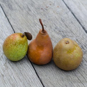 European Pear Trio | Organic Pears