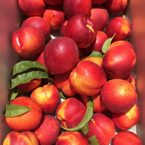 Organic Fantasia Nectarines | Organic Fruit Delivery