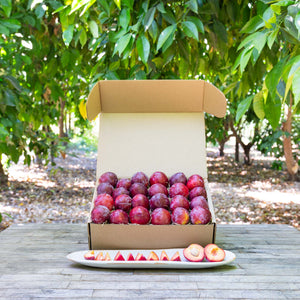 Organic Santa Rosa Plums  Pre-Order – Frog Hollow Farm