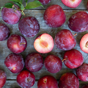 Organic Santa Rosa Plums  Pre-Order – Frog Hollow Farm