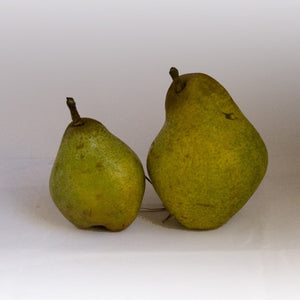 Kid Sized Warren Pears | Organic Pears