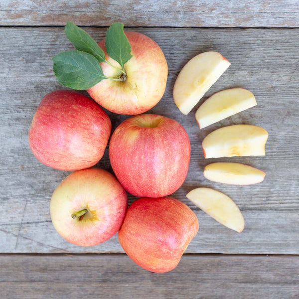 Organic Fuji Apples – Frog Hollow Farm