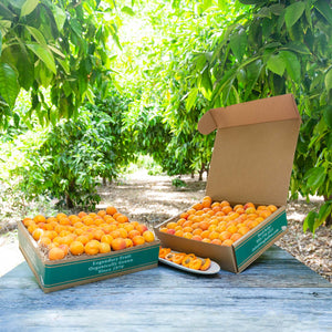 Organic Goldensweet Apricots
