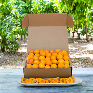Organic Goldensweet Apricots