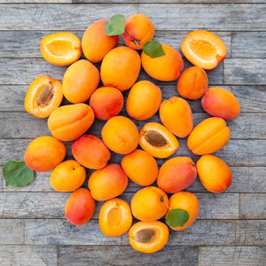 2024 Gotta Have My Apricots | Organic Fruit Club | 4 Shipments