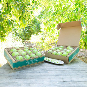 Organic Granny Smith Apples - Apples & Apple Pears