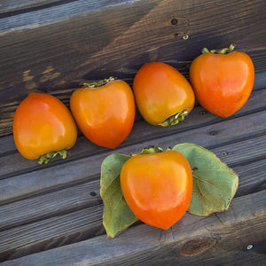 Organic Hachiya Persimmons