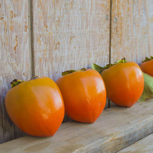 Organic Hachiya Persimmons
