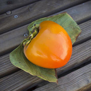 Organic Hachiya Persimmons
