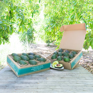 An idyllic image of two craft gift baskets filled with dark green, buttery avocados, set against a background of vibrant, sunlit greenery.