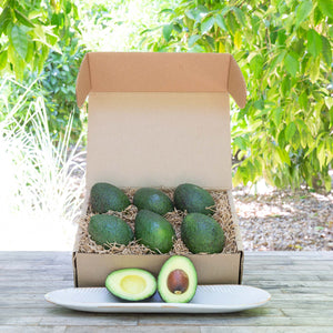 Organic & Fair Trade Hass Avocados (Mexico)