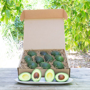 Organic MacArthur Avocados